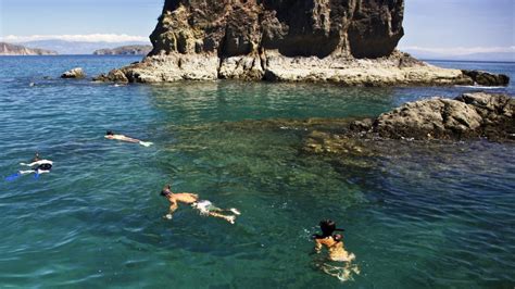 tortuga island costa rica snorkeling
